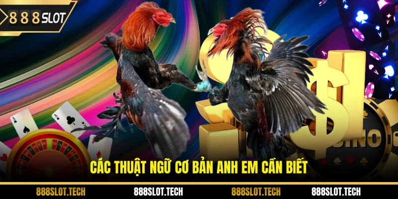 Các thuật ngữ cơ bản anh em cần biết