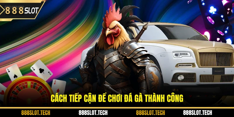Cách tiếp cận để chơi đá gà thành công