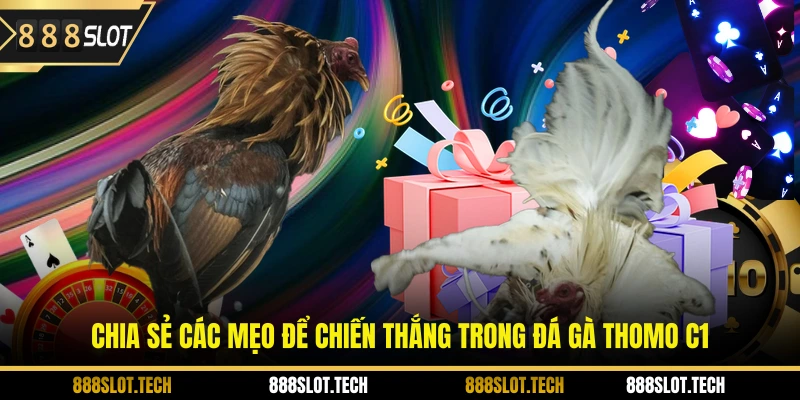 Chia sẻ các mẹo để chiến thắng trong đá gà thomo C1
