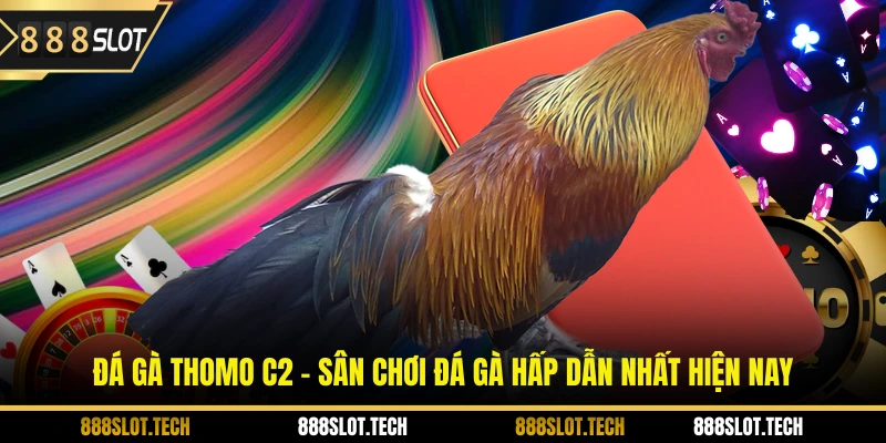 đá gà thomo c2