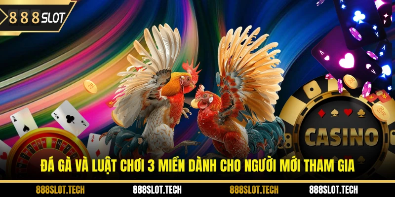 Đá gà và luật chơi 3 miền dành cho người mới tham gia