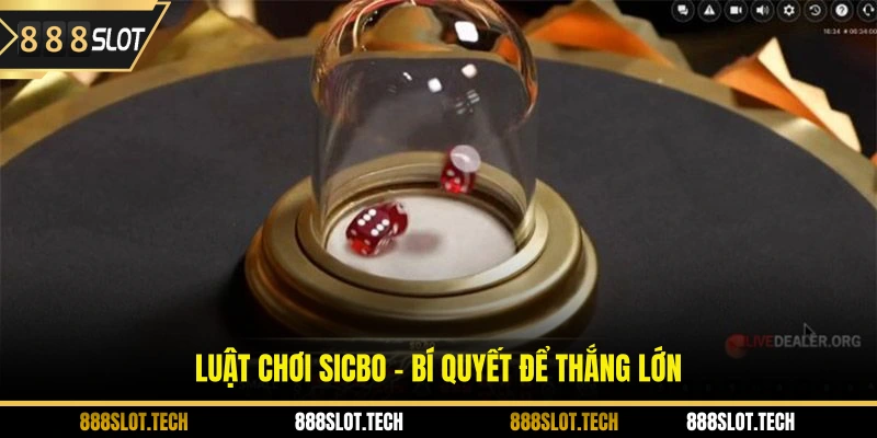 Luật chơi sicbo - bí quyết để thắng lớn