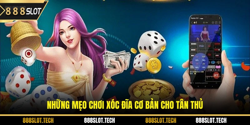 Những mẹo chơi xóc đĩa cơ bản cho tân thủ