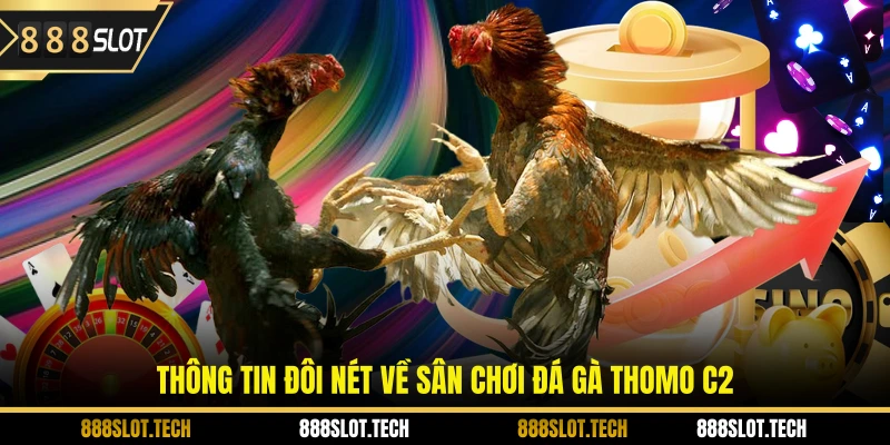 Thông tin đôi nét về sân chơi đá gà thomo c2