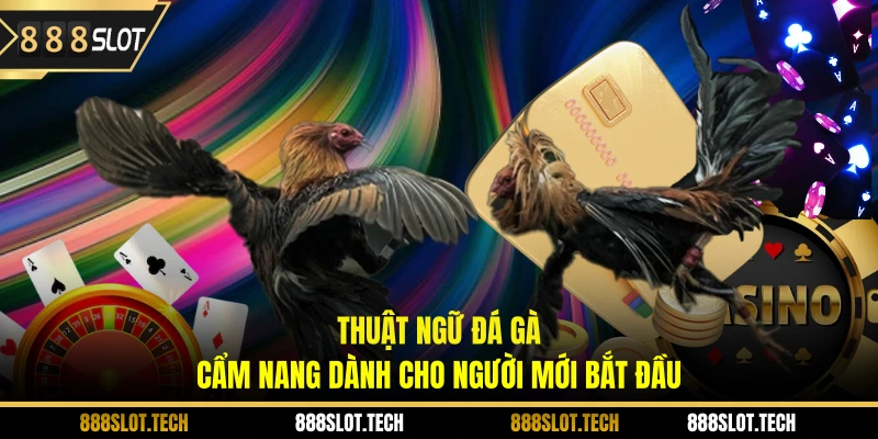 thuật ngữ đá gà